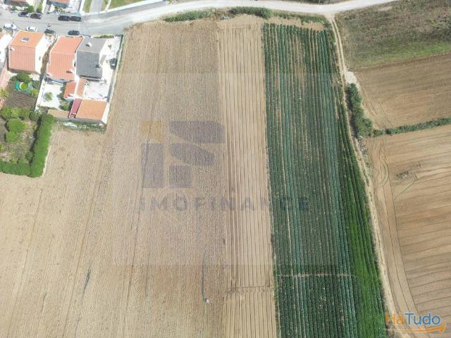 Terreno venda em Peniche, Leiria