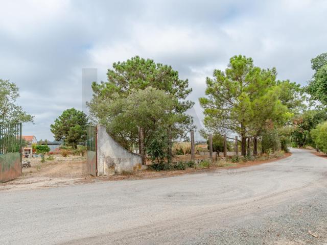 Terreno venda em Cabeço Verde, Santo António Da Charneca
