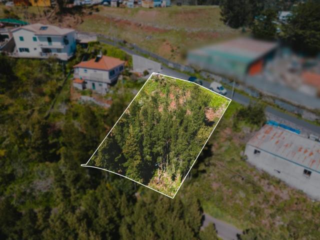 Terreno venda em Achada da Camacha, Santa Cruz