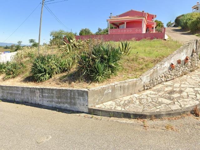 Terreno venda em Chamusca e Pinheiro Grande, Chamusca
