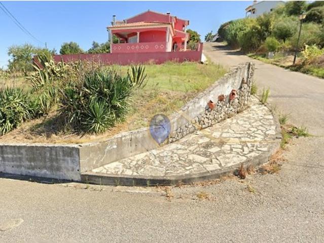 Terreno venda em Chamusca e Pinheiro Grande, Chamusca