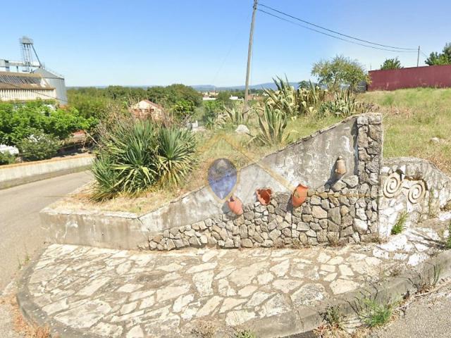 Terreno venda em Chamusca e Pinheiro Grande, Chamusca
