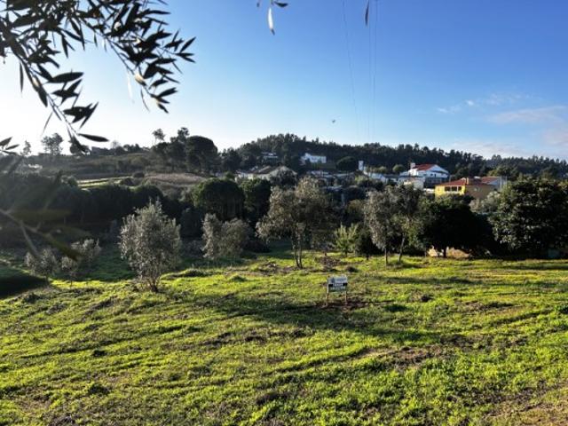 Terreno venda em Tomar Terreno venda em Tomar