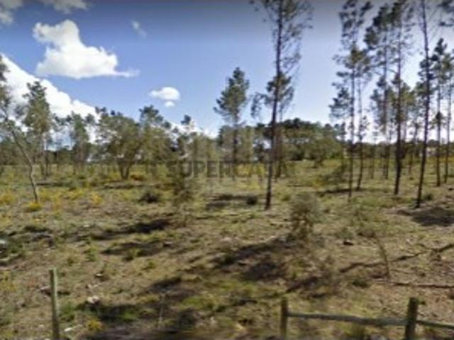 Terreno venda em Venda Nova, Sesimbra
