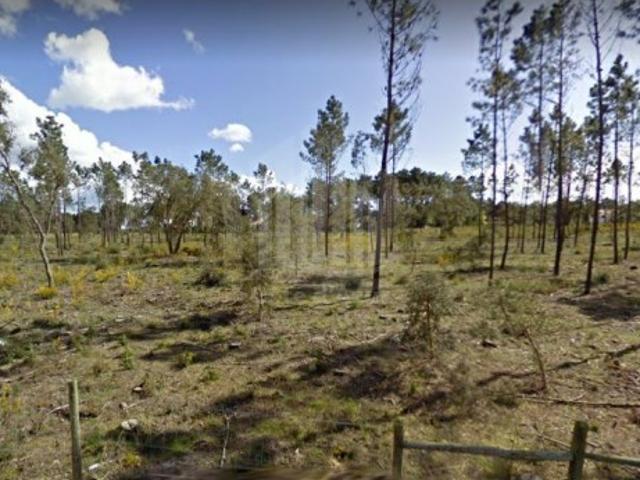 Terreno venda em Venda Nova, Sesimbra