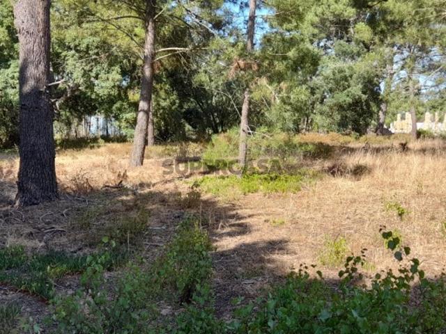 Terreno venda em Sesimbra (Castelo), Sesimbra