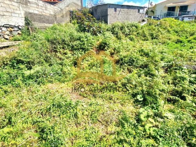 Terreno venda em Câmara De Lobos, Ilha Da Madeira