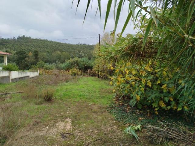 Terreno venda em Miranda Do Corvo, Coimbra