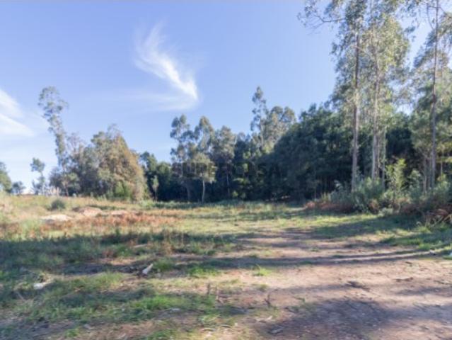 Terreno venda em Santa Maria Da Feira, Aveiro