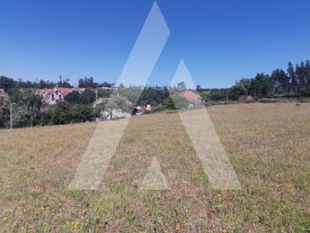 Terreno venda em Assilhó, Albergaria-a-velha