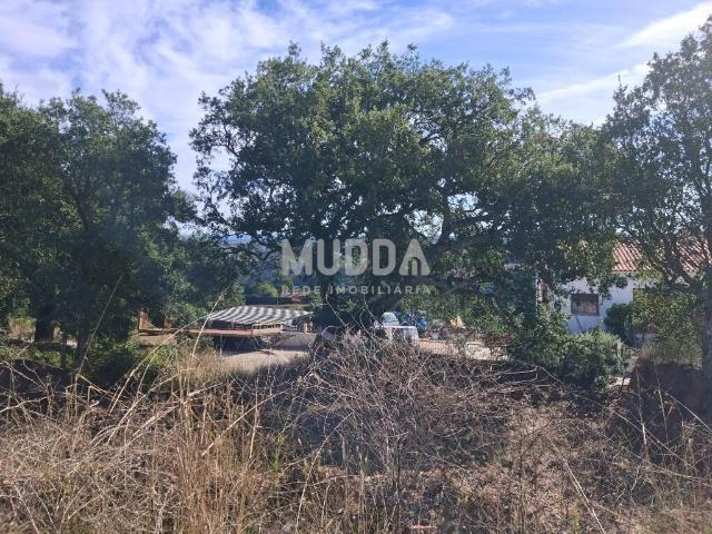 Terreno venda em Óbidos, Leiria