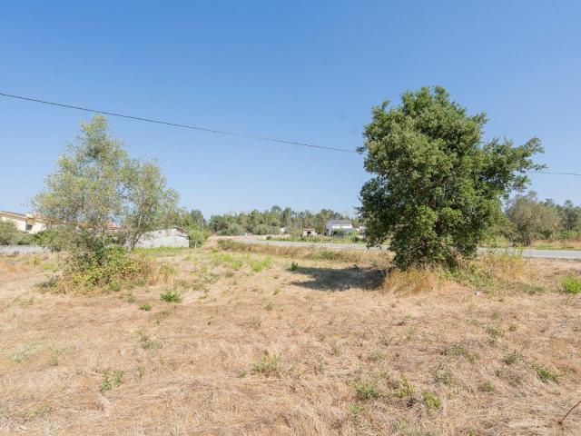 Terreno venda em Poiares (Santo André), Vila Nova de Poiares
