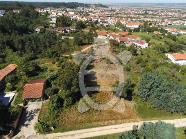 Terreno venda em Coimbrã, Ribeira De Frades