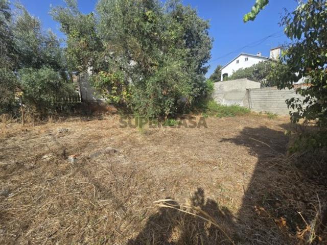 Terreno venda em Abrantes, Santarém