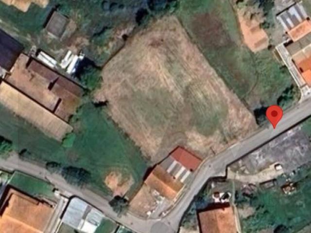 Terreno venda em Albergaria-a-velha, Aveiro