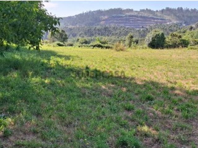 Terreno venda em Santo Tirso, Porto