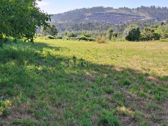 Terreno venda em Santo Tirso, Porto