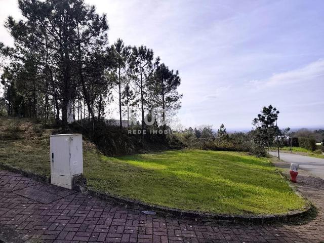 Terreno venda em Alviães, Oliveira De Azeméis