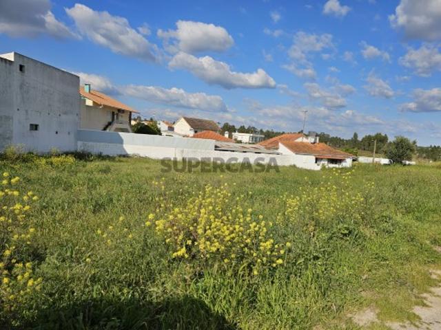 Terreno venda em Torres Novas, Santarém