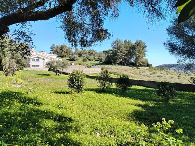 Terreno venda em Ribeira de Sintra, Sintra