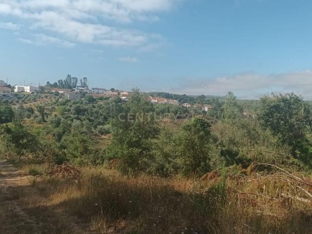 Terreno venda em Soutocico, Leiria