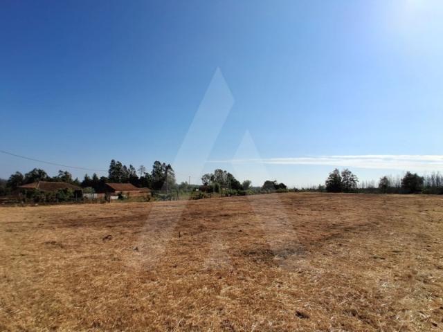 Terreno venda em Águeda, Aveiro
