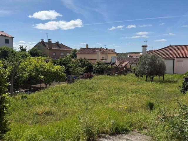 Terreno venda em Vila Flor, Bragança