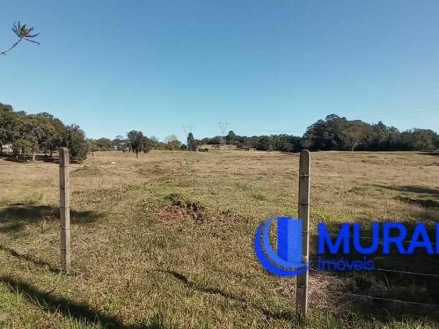 Terreno venda em Região Geográfica Imediata de Caxias do Sul, Caxias do Sul