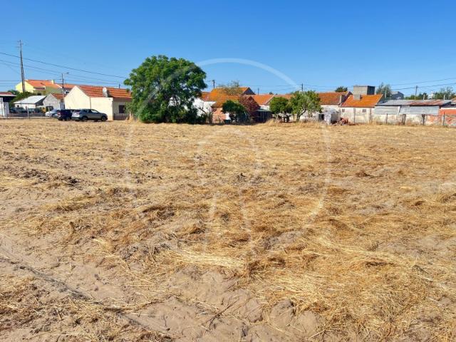 Terreno venda em Lançada, Montijo