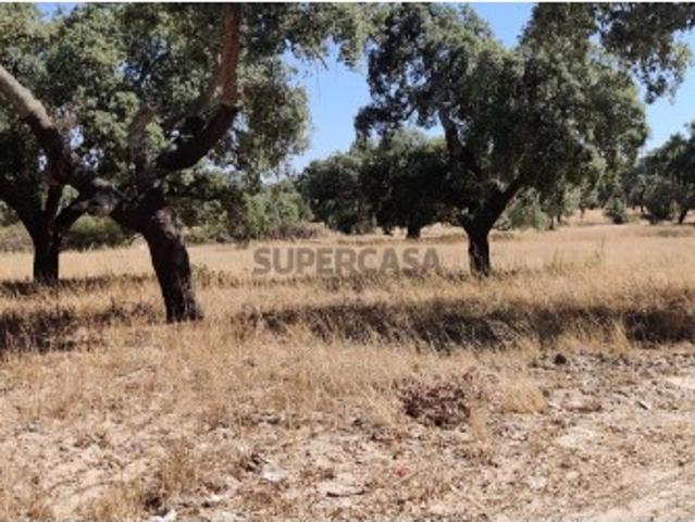 Terreno venda em Grândola, Setúbal