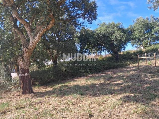 Terreno venda em Óbidos, Leiria