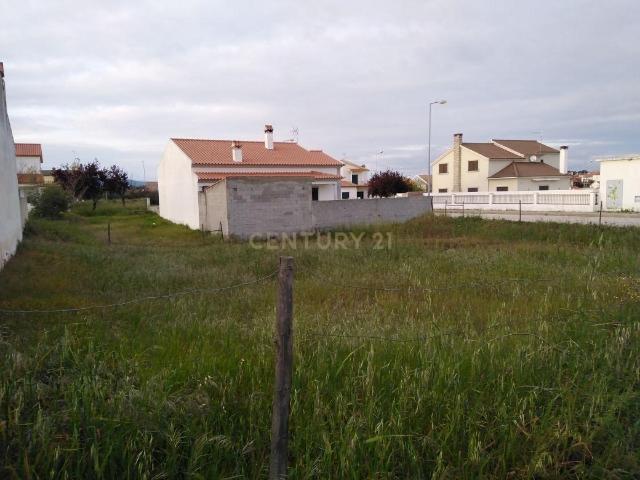 Terreno venda em Castelo Branco