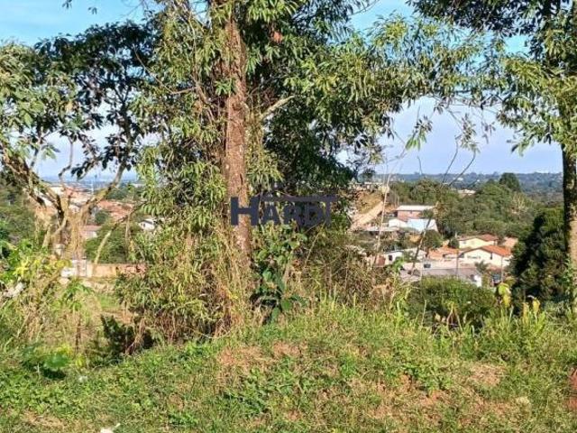 Terreno venda em Região Geográfica Imediata de Curitiba, Região Metropolitana de Curitiba