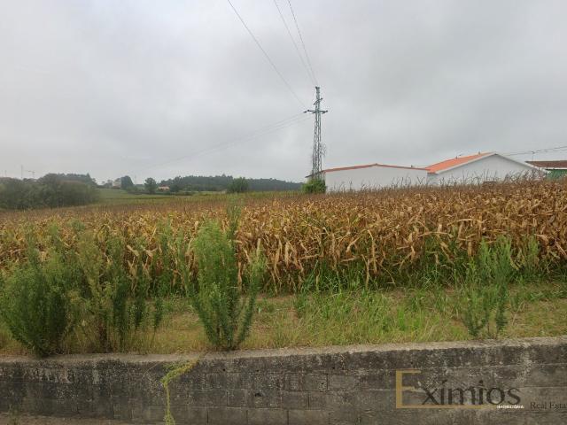 Terreno venda em Vila Do Conde, Porto