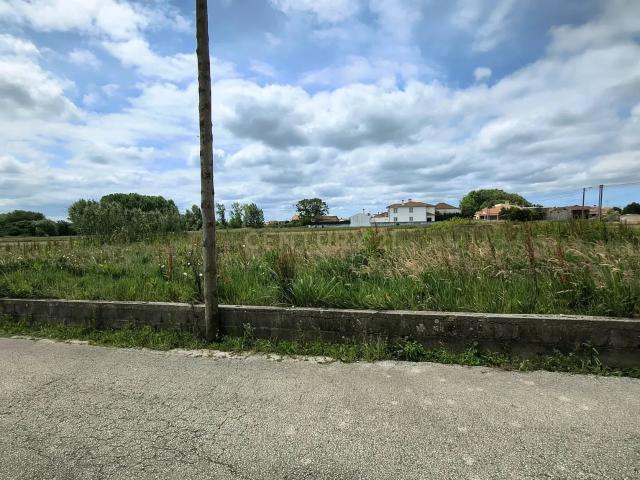 Terreno venda em Oliveira Do Bairro, Aveiro