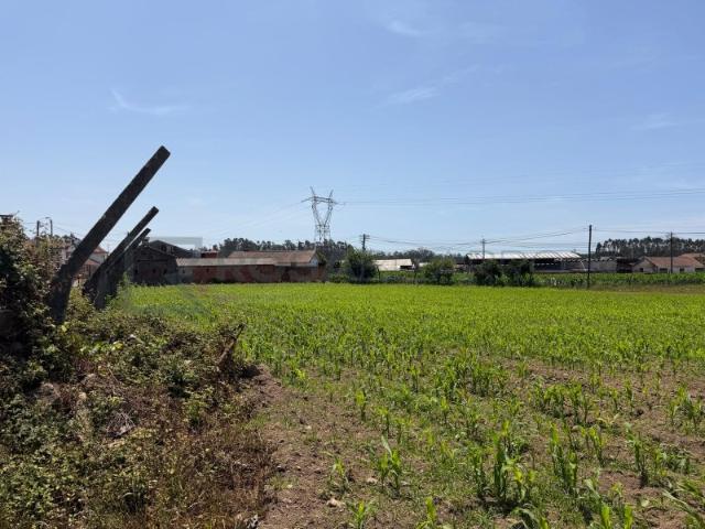 Terreno venda em Oliveira De Azeméis, Aveiro
