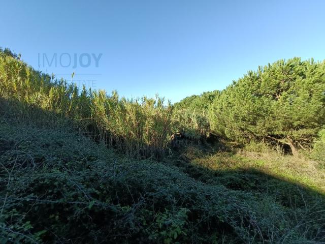 Terreno venda em Funchalinho, Almada