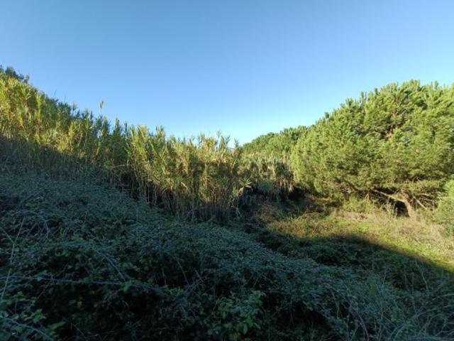Terreno venda em Funchalinho, Almada