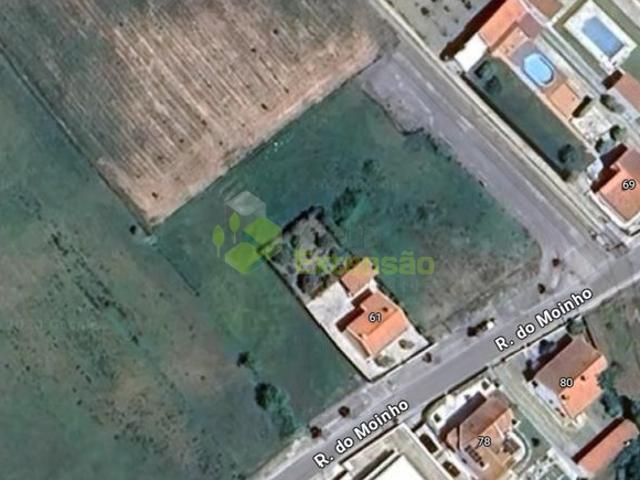 Terreno venda em Cartaxo, Santarém