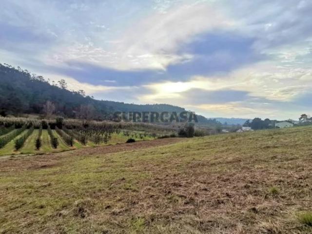 Terreno venda em Trabalhias, Caldas Da Rainha