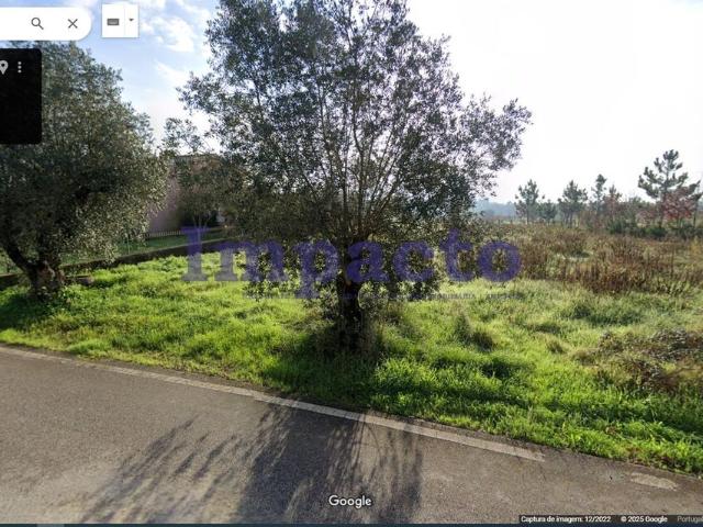 Terreno venda em Anadia, Aveiro