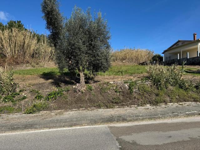 Terreno venda em Pombal, Almagreira