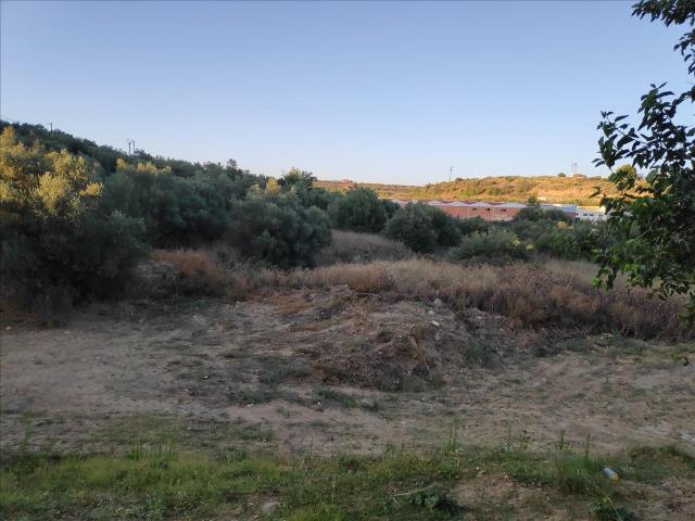 Terreno en venta en Coria, Extremadura