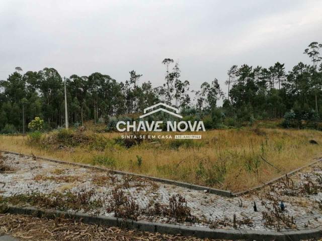 Terreno venda em Oliveira De Azeméis, Aveiro