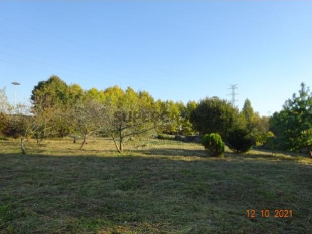 Terreno venda em Porto