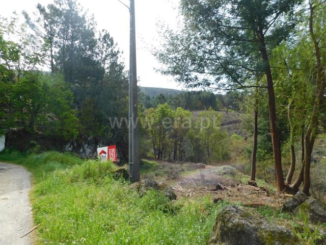 Terreno venda em Guarda, Seia