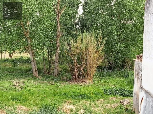 Quinta venda em Alcácer Do Sal, Setúbal