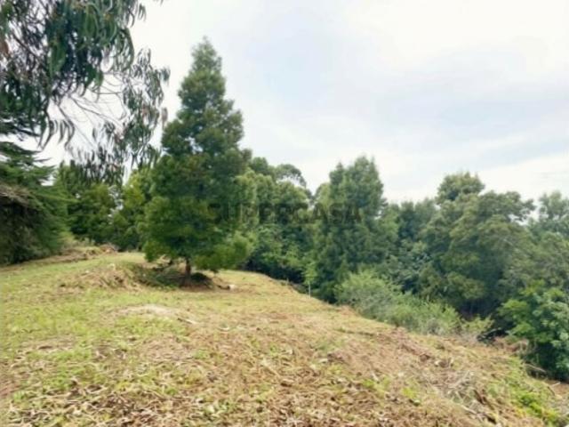 Terreno venda em Sintra, Lisboa