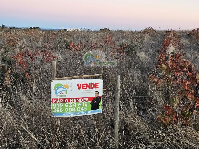 Terreno venda em Reguengos De Monsaraz, Évora