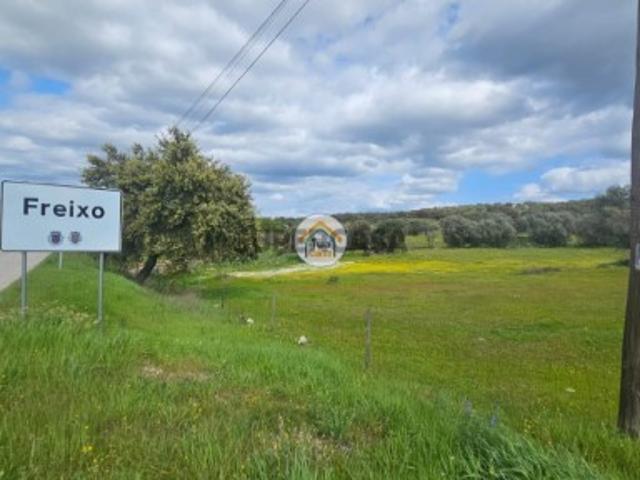 Terreno venda em Redondo, Évora